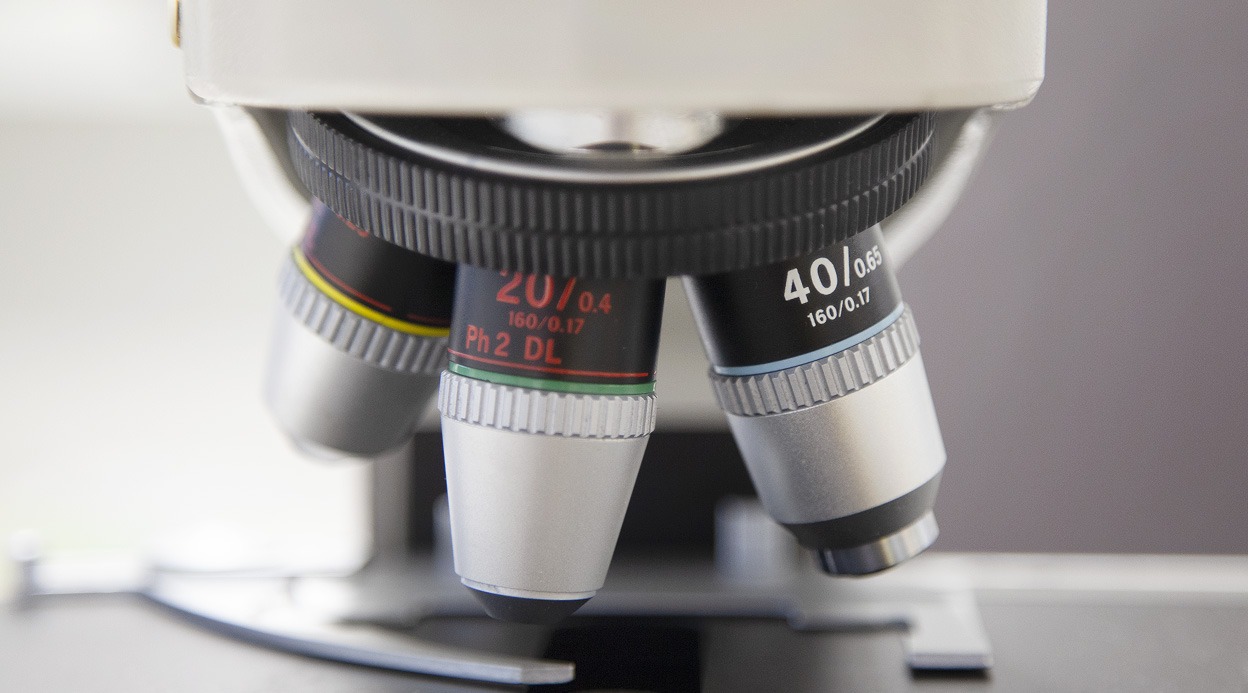 Pakastetun alkion siirto (PAS) hedelm&ouml;ityshoitona.